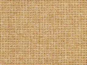 100 % Cashmere ( NEW 2024  )