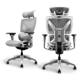 Ayla Ergonomic Chair