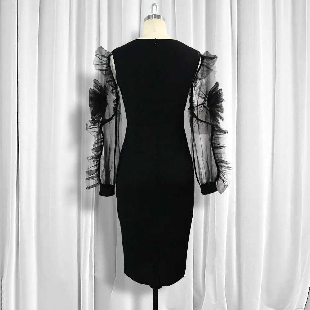 Black Dress O Neck Transparent Mesh Long Sleeves