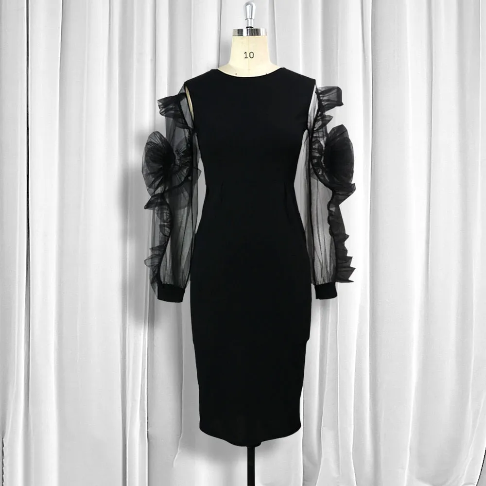 Black Dress O Neck Transparent Mesh Long Sleeves
