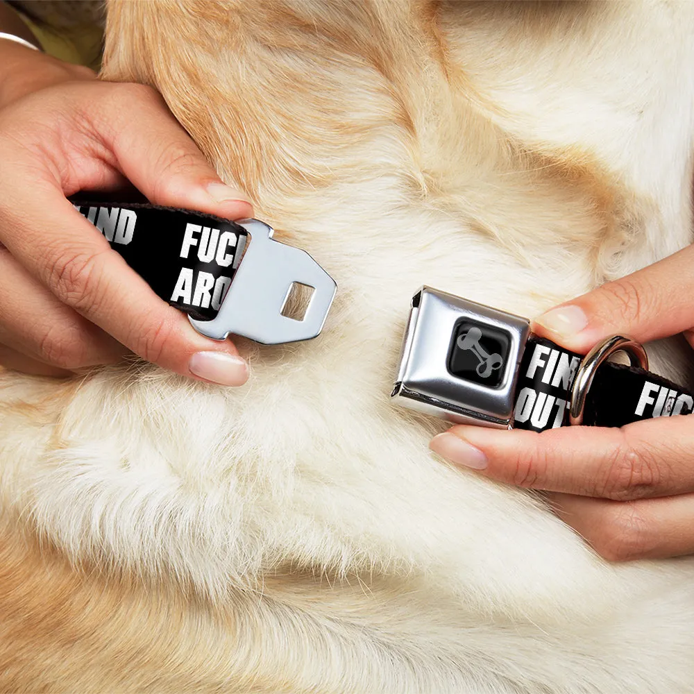 Dog Bone Black/Silver Seatbelt Buckle Collar - FAFO FUCK AROUND AND FIND OUT Bold Black/White by Buckle-Down