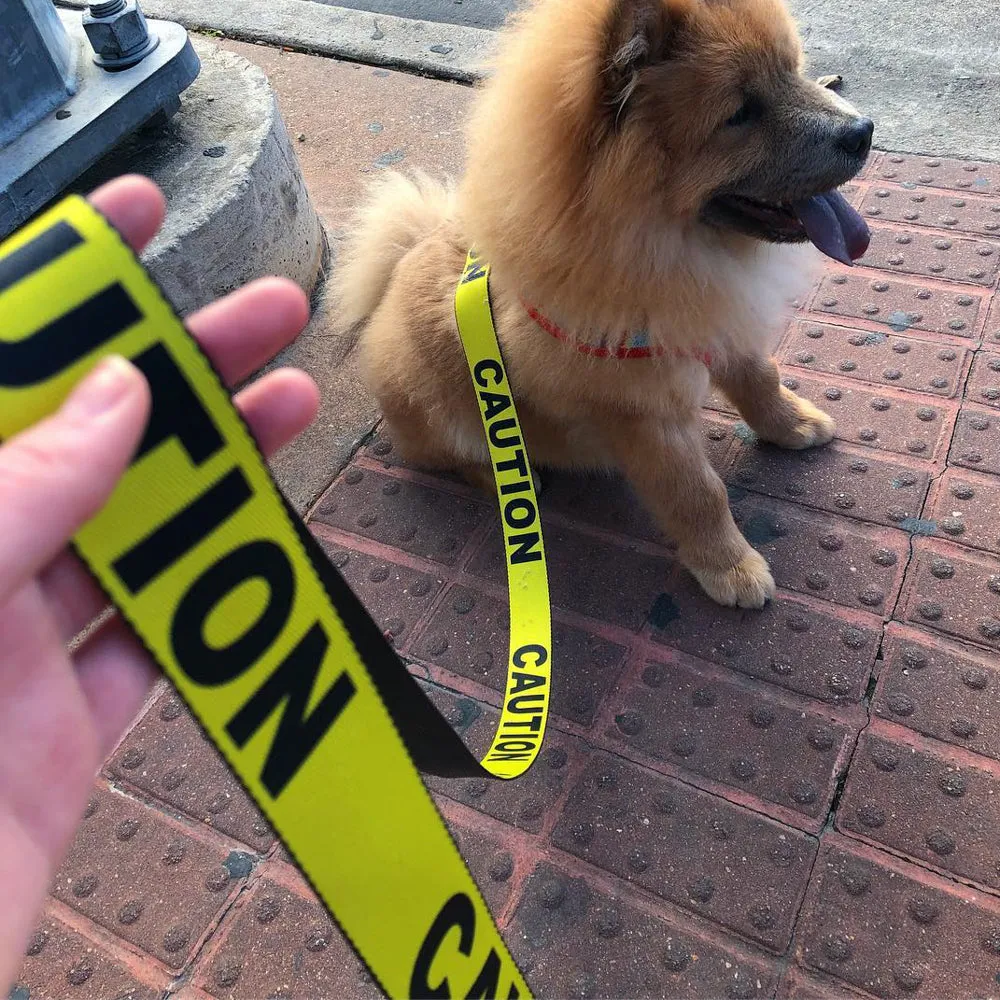 Dog Leash - CAUTION Yellow/Black by Buckle-Down