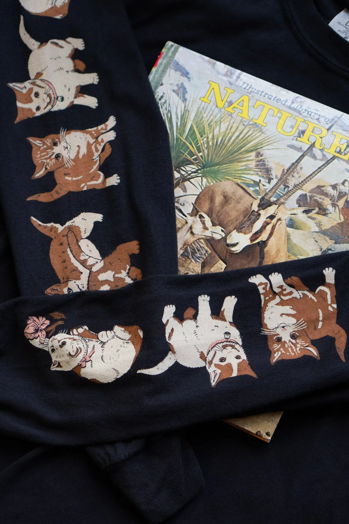 Kittens Long Sleeve Tee