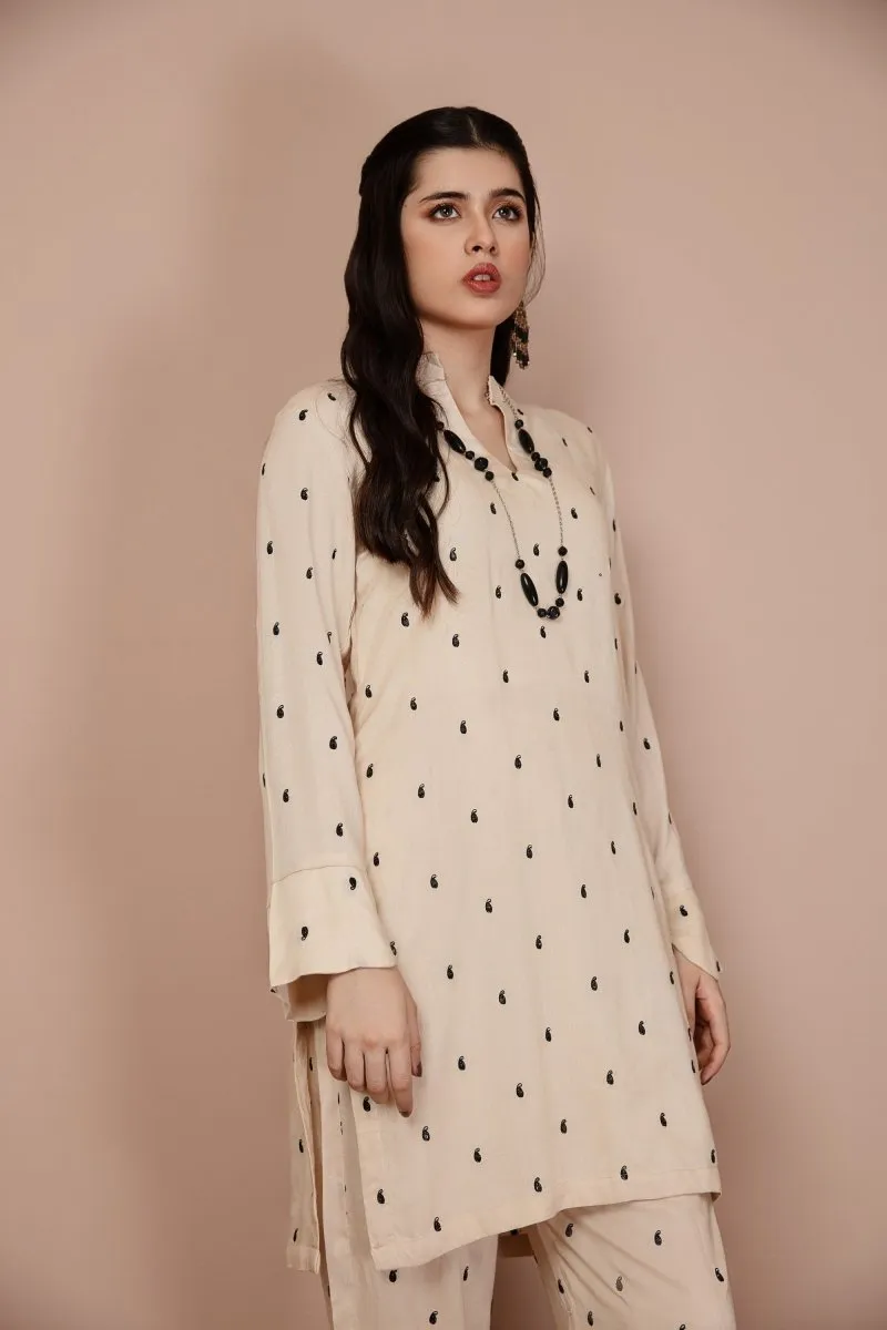Simrans Embroidered 2 Piece Co-Ord Set SIM128