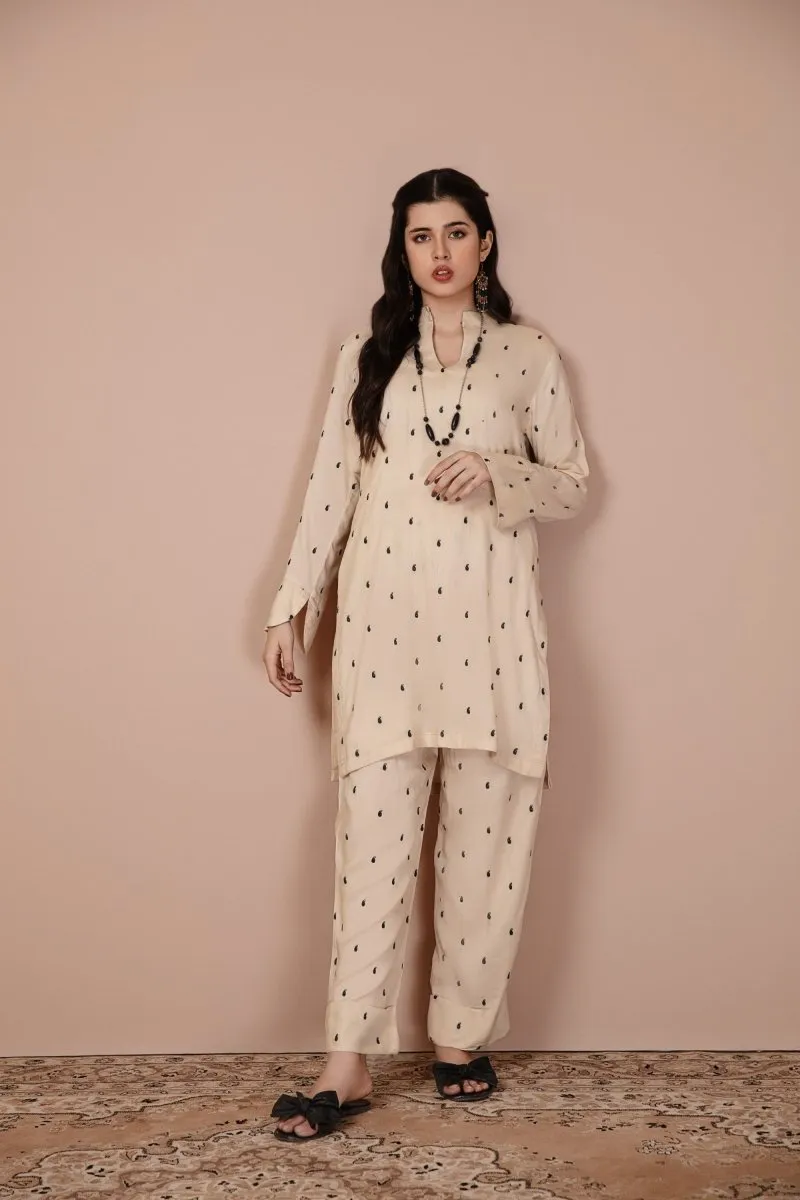 Simrans Embroidered 2 Piece Co-Ord Set SIM128
